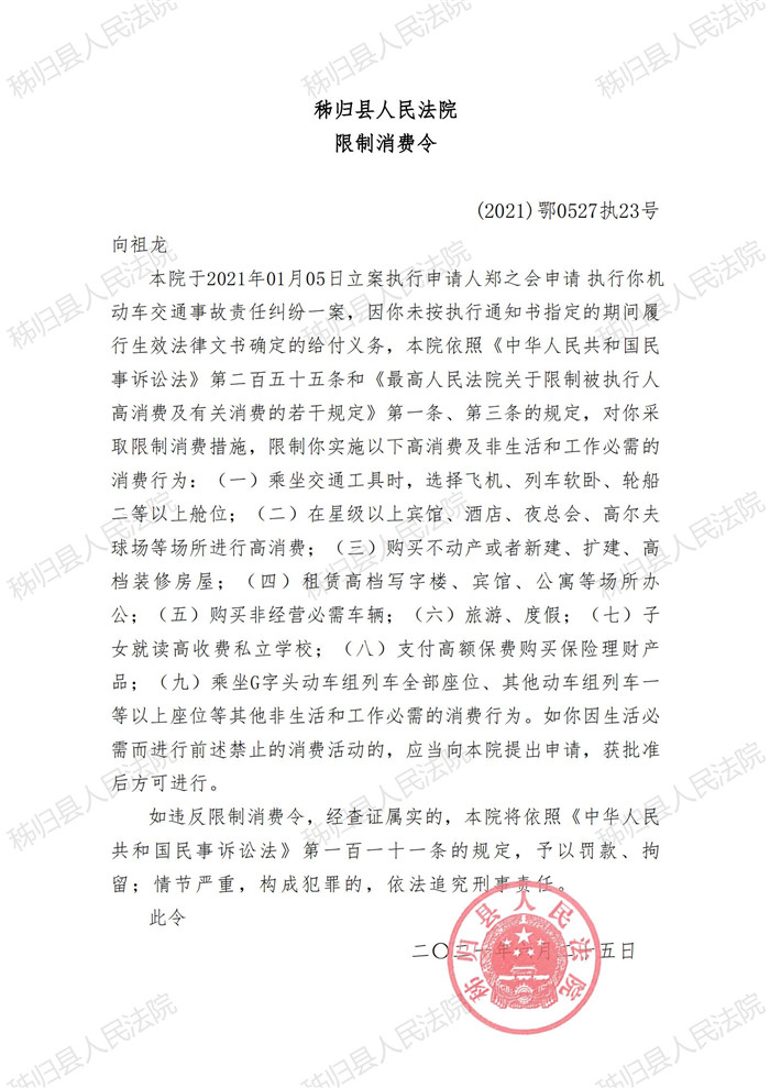 2021执23号向祖龙限制消费令_00.jpg