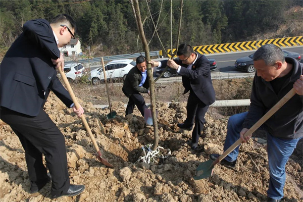 植树现场2.jpg