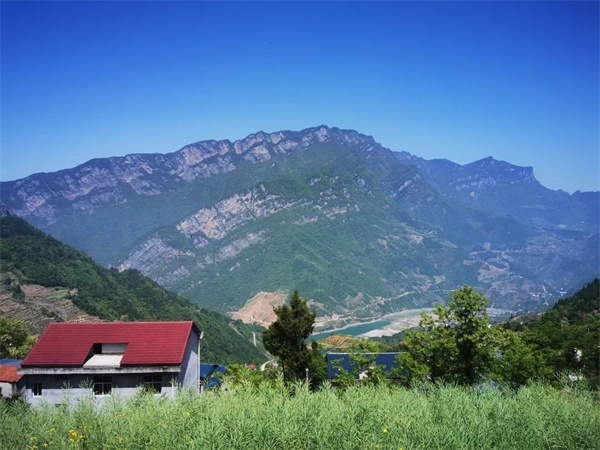 随手拍下的乡村景色.jpg