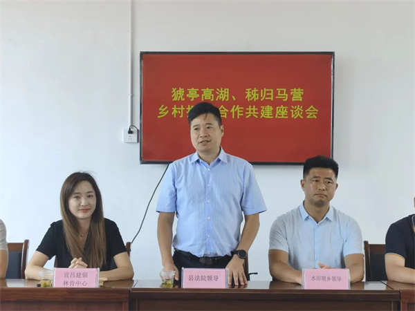 骆伟同志发言.jpg